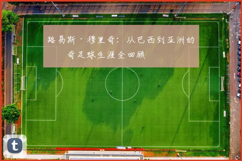 路易斯·穆里奇:从巴西到亚洲的传奇足球生涯全回顾