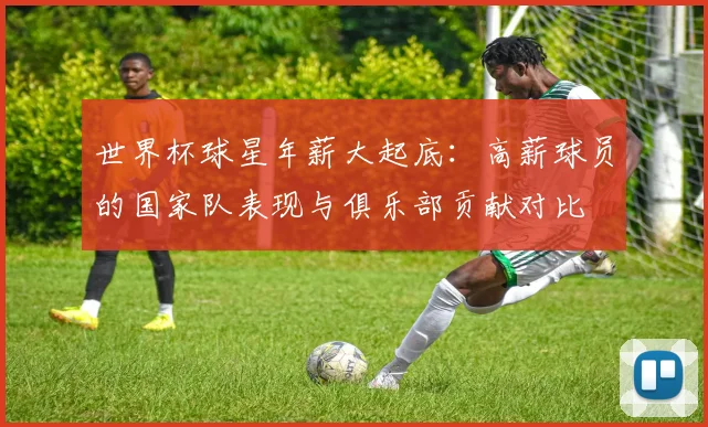 世界杯球星年薪大起底：高薪球员的国家队表现与俱乐部贡献对比
