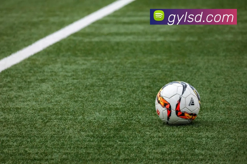 意昂体育官网登录发展历程